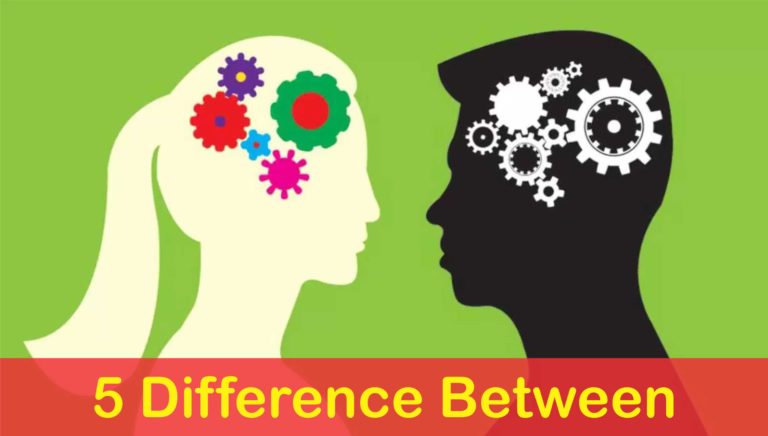 differences between men and women
