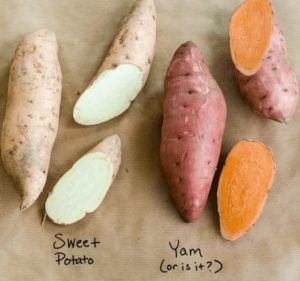 sweet potato