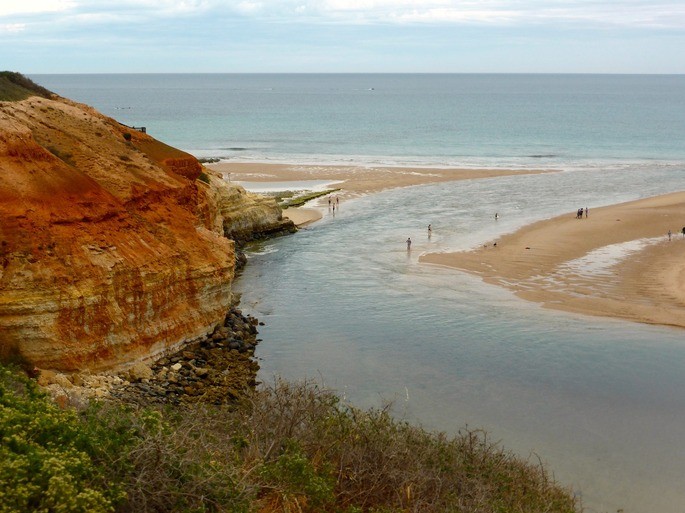 estuary where the river and the sea meet is a mixed ecosystem.