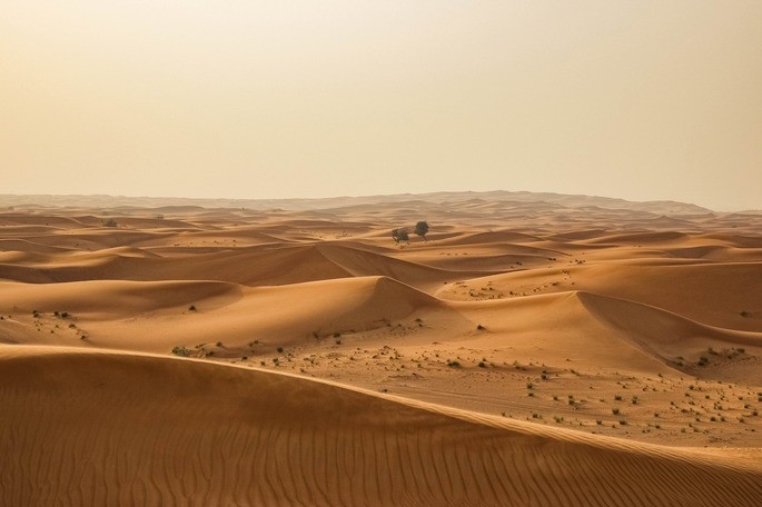The desert is a natural ecosystem