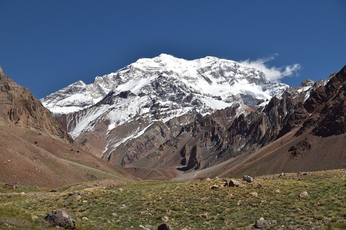 Sierra del Aconcagua alpine terrestrial ecosystem.