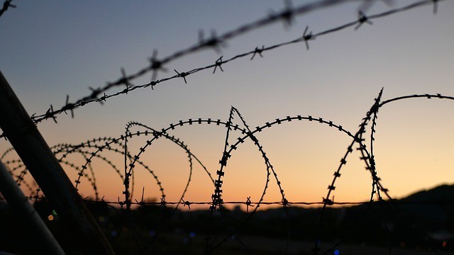 consequences of migration