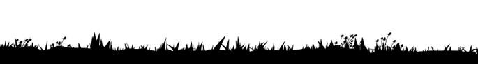 plant profile of the tundra